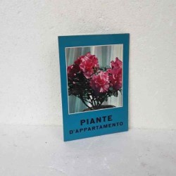 Piante d'appartamento