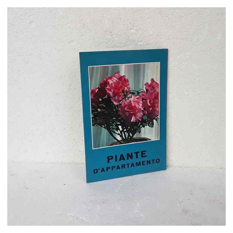 Piante d'appartamento