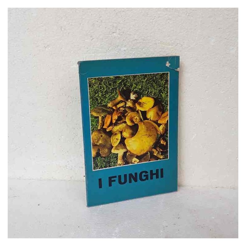 I funghi