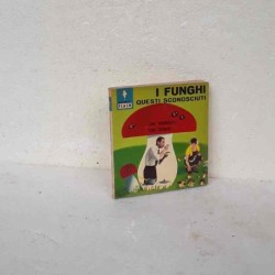 I funghi flash marabout 10
