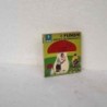 I funghi flash marabout 10