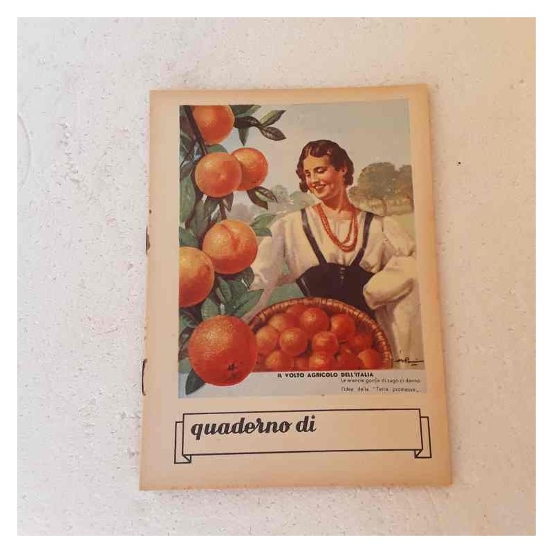 Quaderno scolastico anni 40/50 serie il volto agricolo dell'Italia
