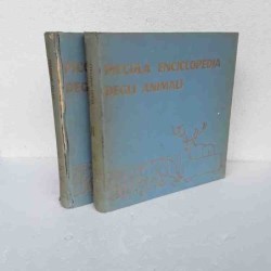 Piccola enciclopedia degli...