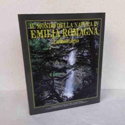 La montagna il mondo della...