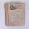 Rivista Minerva 1901