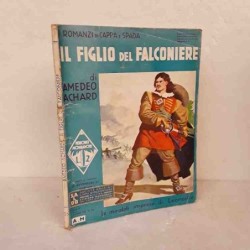 Romanzi di cappa e spada Il...