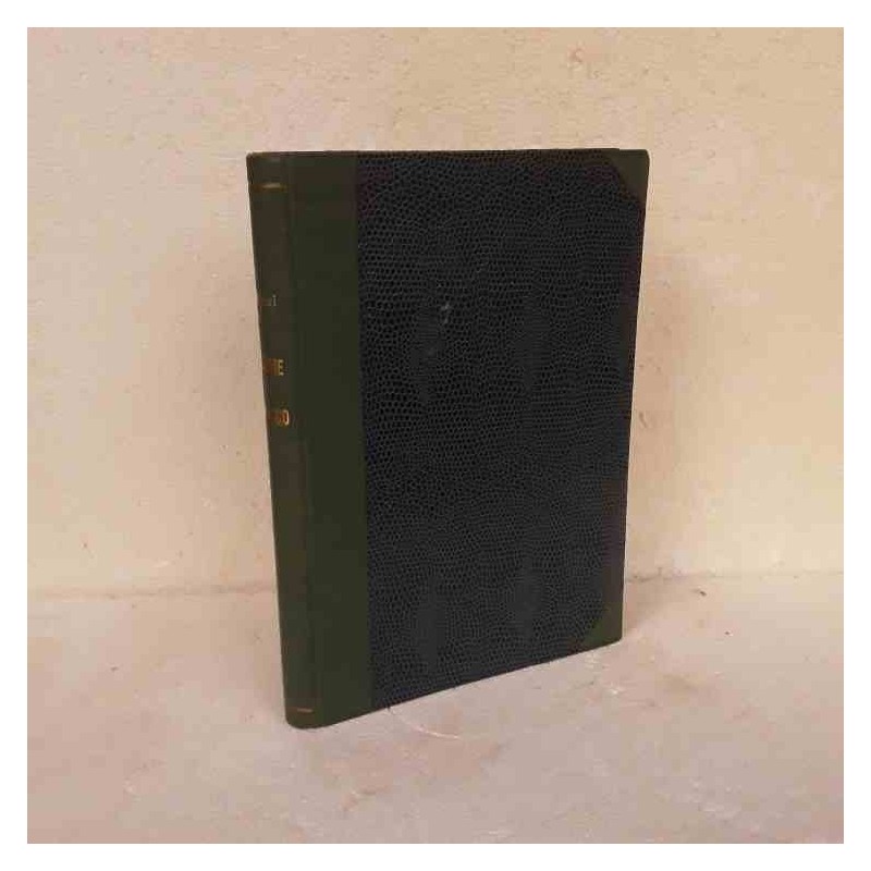 Il leone di Damasco Emilio Salgari