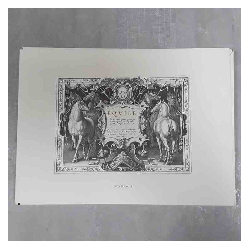 Giovanni Stradano Equile