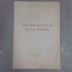 Michelangelo et la Pierre...