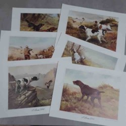 Roberto Lemmi Beretta