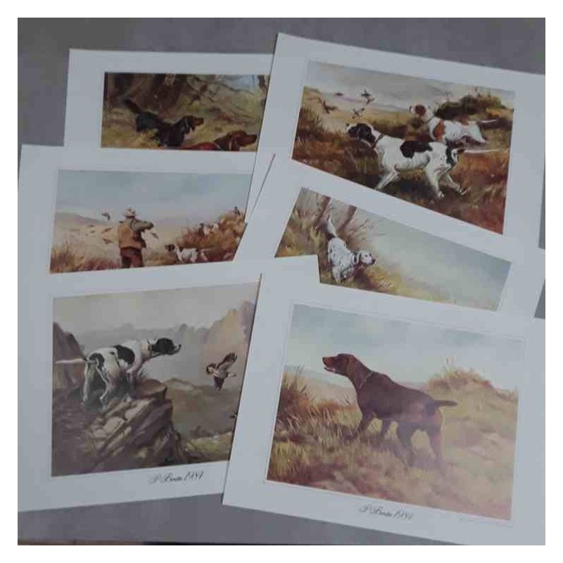 Roberto Lemmi Beretta