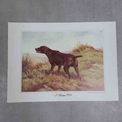 Roberto Lemmi Beretta