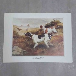 Roberto Lemmi Beretta