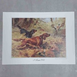 Roberto Lemmi Beretta