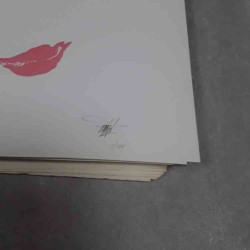 Litografia Volto Donna