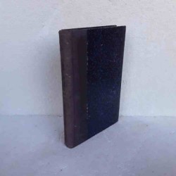 Politica rivista Coppola 1921