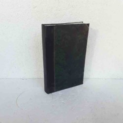 I viaggi di Gulliver...