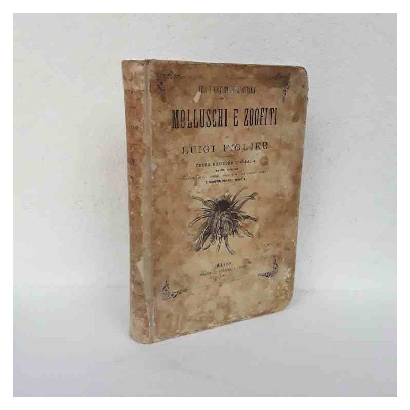 Molluschi e Zoofiti di Figuier Luigi