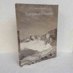 Il gruppo dell'Adamello...