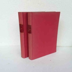 Storia della Guerra europea...