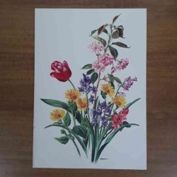 Anne Marie Trechslin fiori