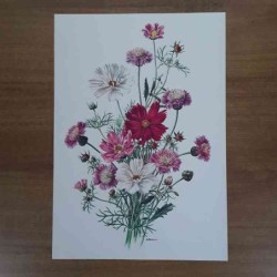 Anne Marie Trechslin fiori