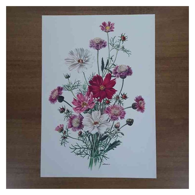 Anne Marie Trechslin fiori