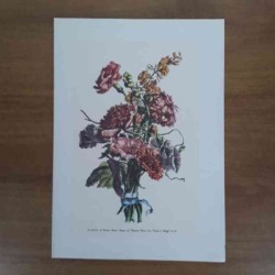 Jacobus De Rubeis fiori