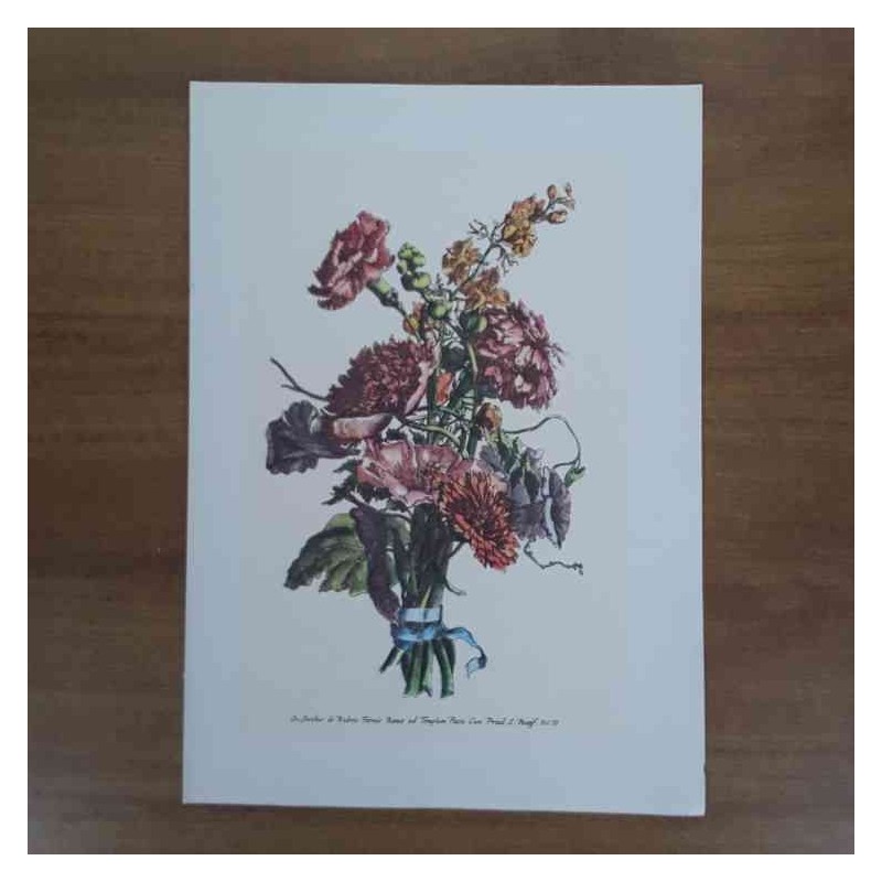 Jacobus De Rubeis fiori