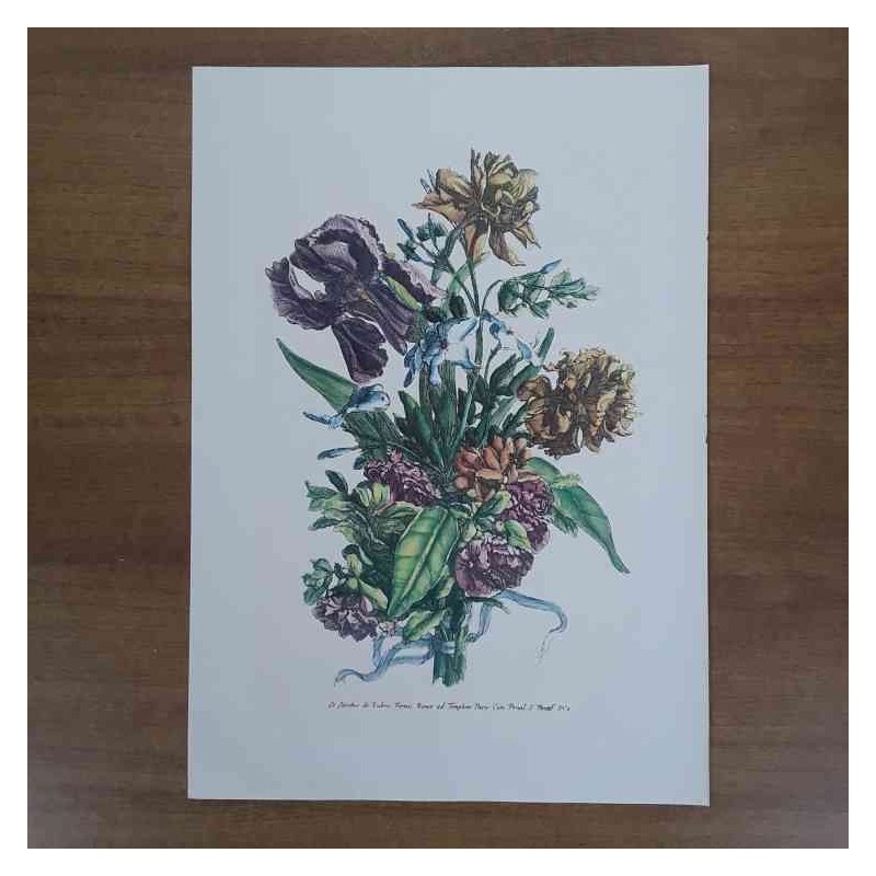 Jacobus De Rubeis fiori