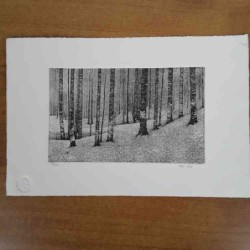 Giampaolo Dal Prà aquatinta