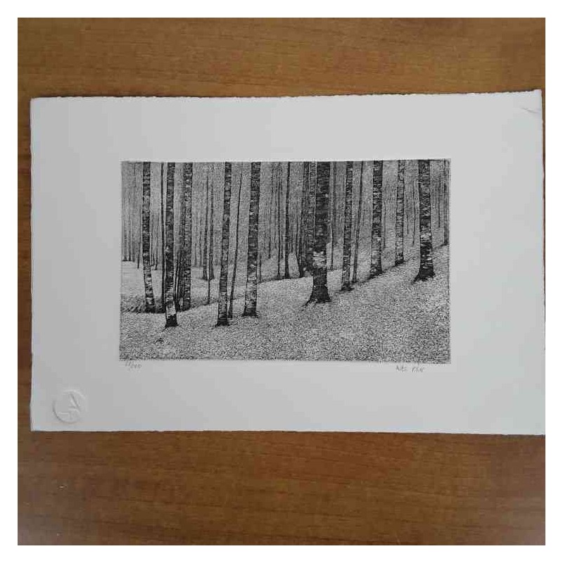 Giampaolo Dal Prà aquatinta