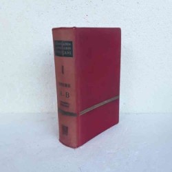 Dizionario letterario...