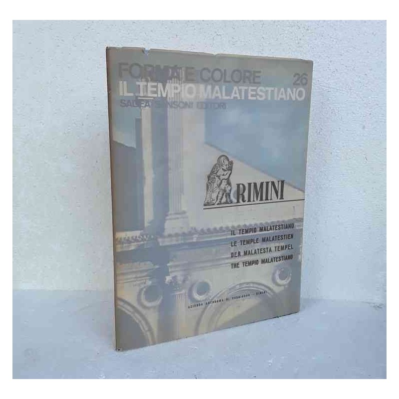 Il tempio Malatestiano forma e colore 26