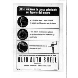 Olio Shell