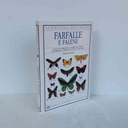 Farfalle e falene di David...