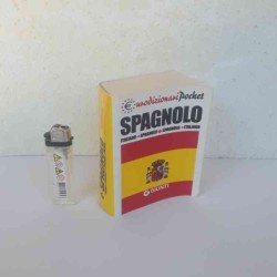 Dizionario spagnolo