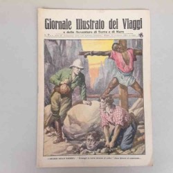 Giornale illustrato dei...