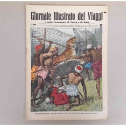Giornale illustrato dei...