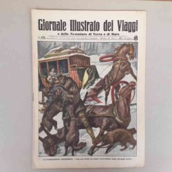 Giornale illustrato dei...