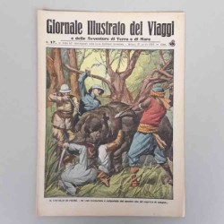 Giornale illustrato dei...