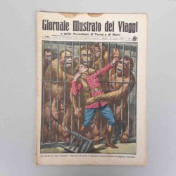 Giornale illustrato dei...
