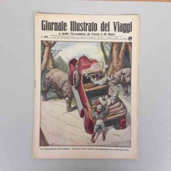 Giornale illustrato dei...