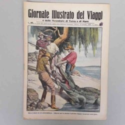 Giornale illustrato dei...