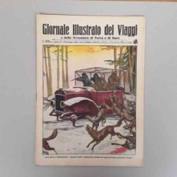 Giornale illustrato dei...