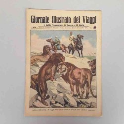 Giornale illustrato dei...