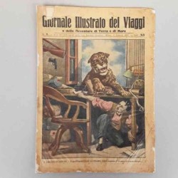 Giornale illustrato dei...