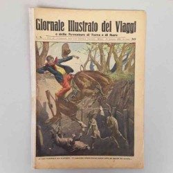 Giornale illustrato dei...