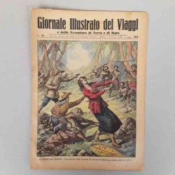 Giornale illustrato dei...
