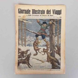 Giornale illustrato dei...